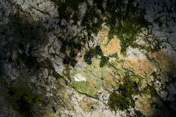 nature, adventure and tourism concept - stone surface of mountains close-up