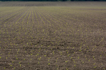 walk throuh the Region of Hanover