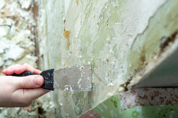 The girl makes repairs in the house. The process of removing old wallpaper from the walls