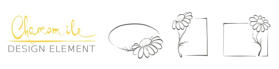 Fototapeta na wymiar Decorative daisies. Set vector design elements, frame of chamomile.