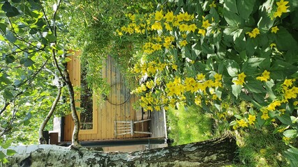 wooden house in the garden