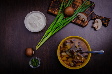 mushroom soup with green onions and sour cream