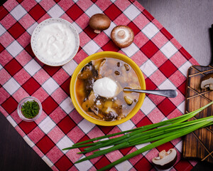 mushroom soup with green onions and sour cream