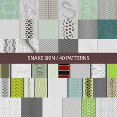collection of vector seamless snake skin textures - 360833022