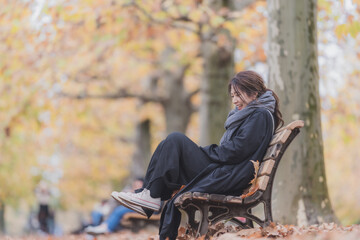 Obraz premium プラタナスの紅葉並木とベンチに座る女性