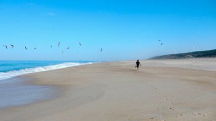 Single man solo traveller walking on rhe shore of the ocean beach with group of seagull in the blue sky