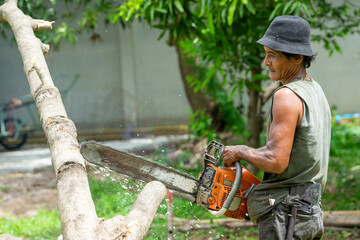 Obraz premium Portrait of arborist cutting the log by chainsaw machine with sawdust splash around. Motion blurred of sawing chainsaw