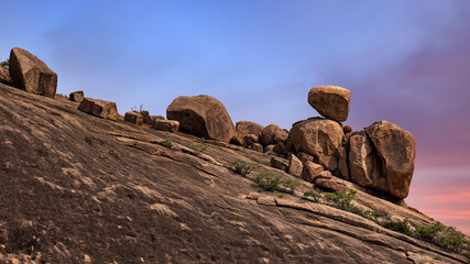 standing solo  © sudhakarsingh