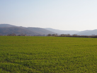 Scenic Silesian Beskid Mountains range seen from sport airfield in european Bielsko-Biala city in Poland, clear blue sky in 2020 warm sunny spring day on April.