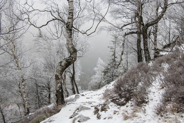 
gently snow-capped peaks of the Lusatian mountains