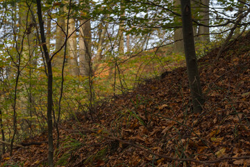 Ruegen Mecklenburg Vorpommern Tourismus Insel