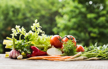 Fresh vegetables on table in garden on summer day