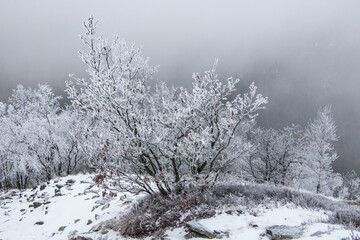 
gently snow-capped peaks of the Lusatian mountains