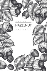Hand drawn sketch hazelnut design template. Organic food vector illustration on white background. Retro  nut illustration. Engraved style botanical background.
