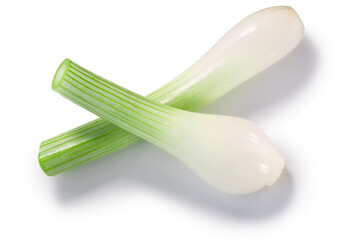Leek or green spring  onion stems with bulb crossed isolated w clipping paths, top view