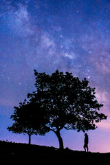 Silhouette of a beautiful tree at night. Monte Erlaitz in the town of Irún, Guipuzcoa. Basque Country. Night photography of the Milky Way in June