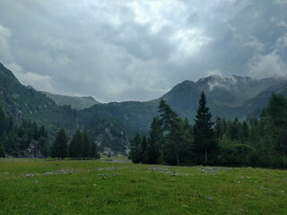 Fototapeta na wymiar Mountain valley with green grass,trees and clouds on background, Italian Alps.