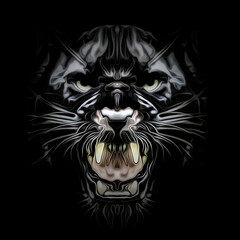 head of a pantera in dark © reznik_val