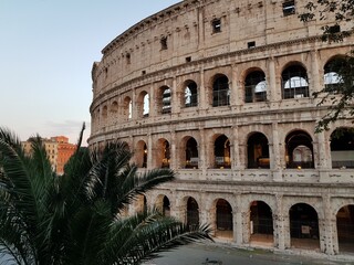 Fototapeta premium Roma Colosseo