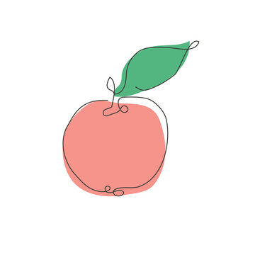 "Apple Line Art" Images – Browse 21 Stock Photos, Vectors, and Video