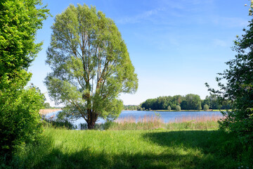 Fototapeta na wymiar Vaires-sur-Marne lake in the Marne valley