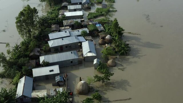 Families are living a miserable life in a village that submerged during the floods. They survive by dealing harshly with food crises, habitats, and various poisonous animals.