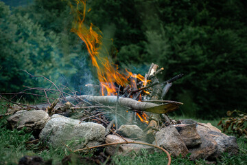 forest campfire burning surrounded by stones