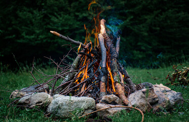 campfire burning in the forest