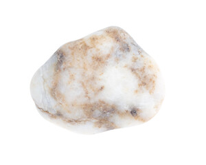 Sea stone isolated on a white background.