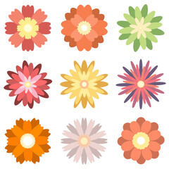 Colorful spring flowers collection set isolated on white background vector illustration.