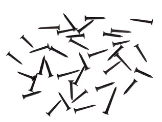 Small black tacks and nails for DIY. Isolated on white background.