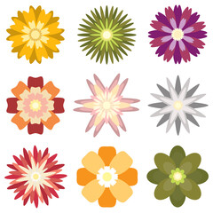 Colorful spring flowers collection set isolated on white background vector illustration.
