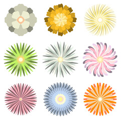  
Colorful spring flowers collection set isolated on white background vector illustration.