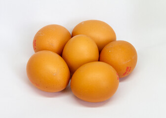 eggs on white background