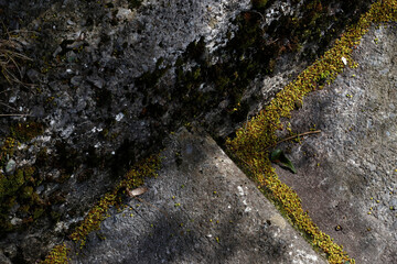 Concrete stairs in the city