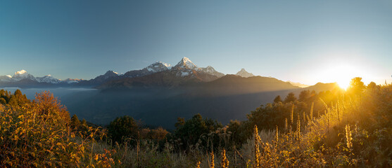 Sun rising over the Annapurna range mountain landscape, with wild grass field on Poon Hill trek viewpoint, in the Himalayas near Pokhara, Nepal