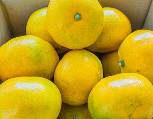 Closeup of box of tangerines