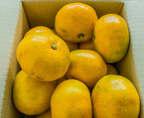 Closeup of box of tangerines