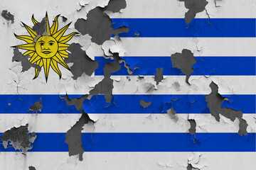 Obraz premium Uruguay flag close up painted, damaged and dirty on wall peeling off paint to see concrete surface. Vintage National Concept.