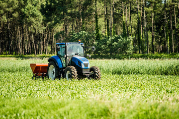 Obraz premium farmer working in a cornfield