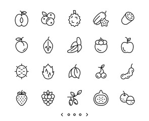 fruits line icons set vector