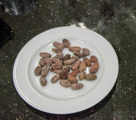 Cacao beans on round white dish