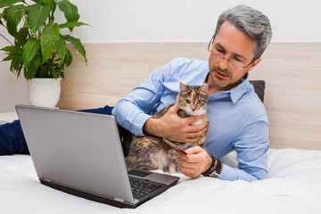 The man with glasses with gray hair lying on the bed and working on a laptop with cat.
