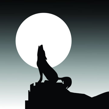 Silhouette of the wolf. wildlife. Wild wolf. Vector illustration.
