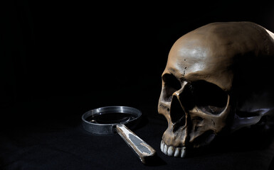 A rustic magnifying glass with a wooden handle and a realistic human prop skull.