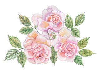 Watercolor hand painted rose bouquet. Сomposition for a wedding or greeting card