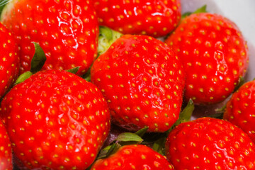 Strawberries in styrofoam container