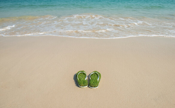 Flip Flop Slipper With Green Grass In The Sand On The Beach.