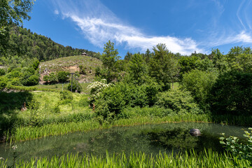 Ravenna gorge viaduct in Breitnau, Germany