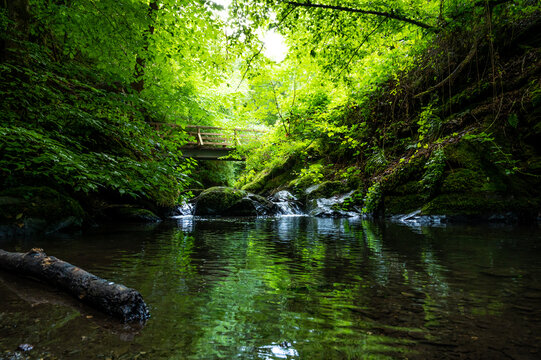 hiking in the ehrbachklamm gorge as part of the "traumschleife ehrbachklamm", hiking over wooden bridges and easy climbing routes